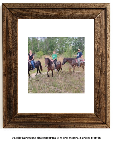 family horseback riding near me in Warm Mineral Springs, Florida